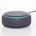 does echo dot work without alexa