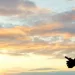 4k drone