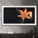 Samsung Frame TV