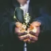 energy costs for business